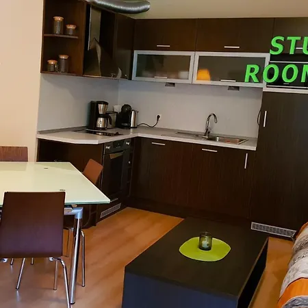 Park Studio&double Boroveț