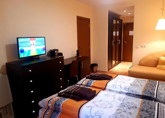 Lägenhet Park Studio&double